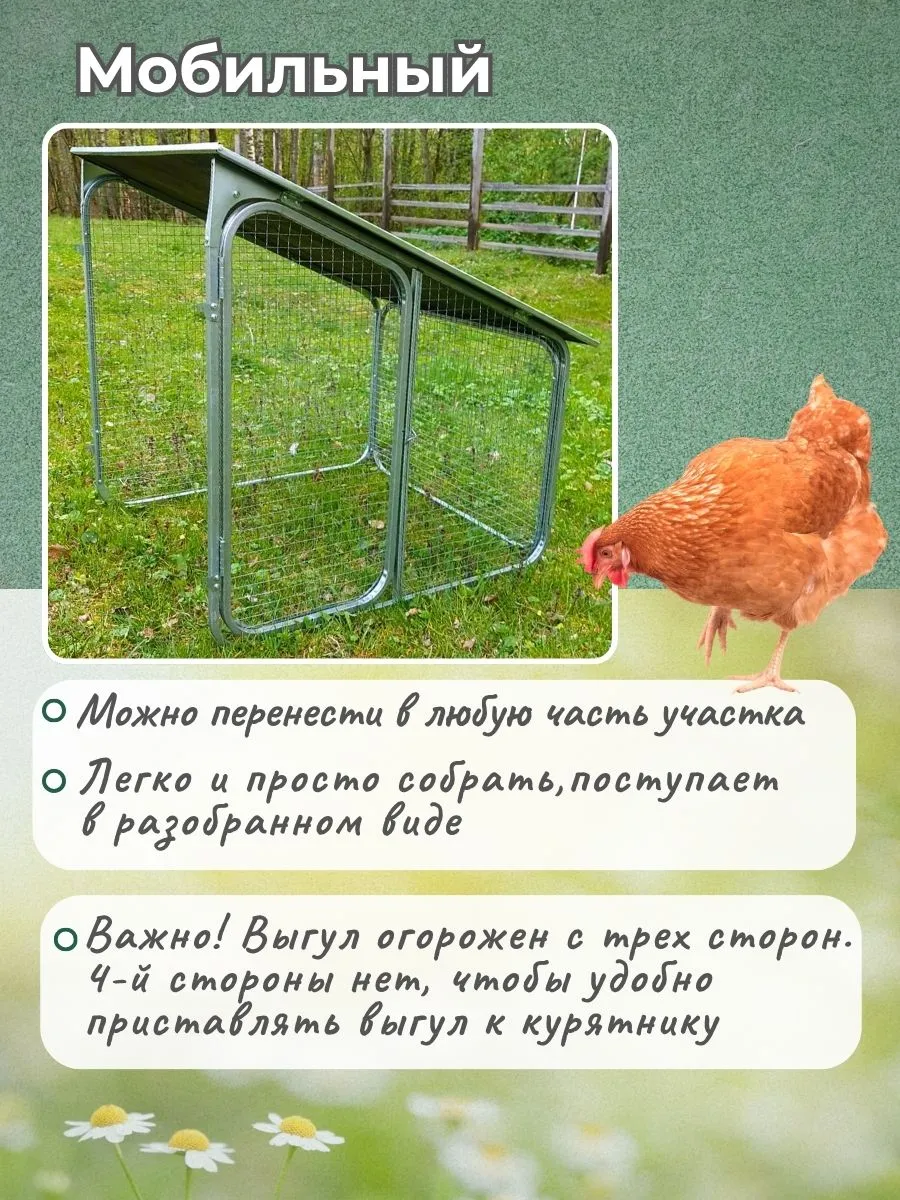 Выгул для курятника "Фазенда". Фото 5