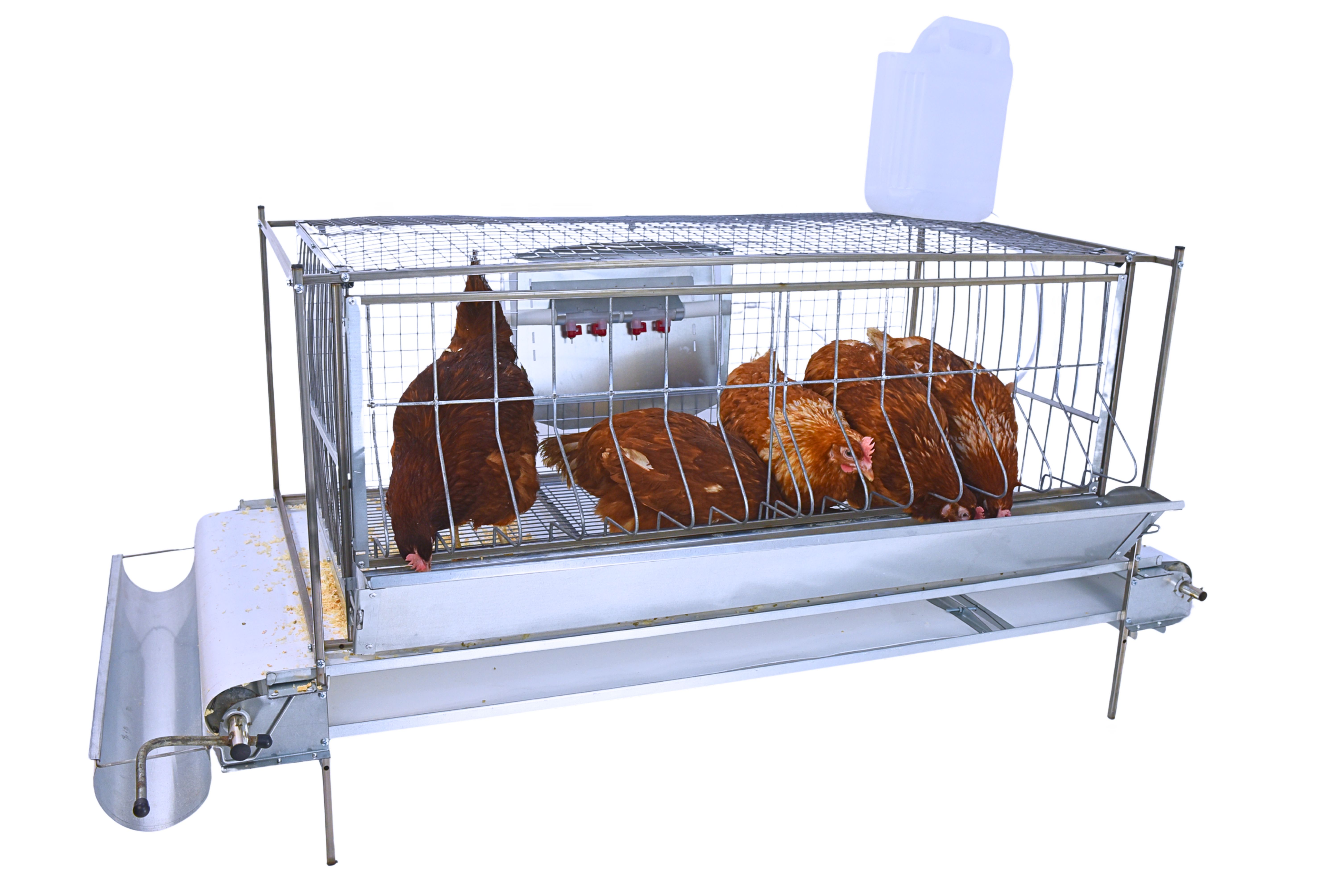 Клетка для бройлеров "Люкс-сетка" 1-12 "МультиПро". Фото 6