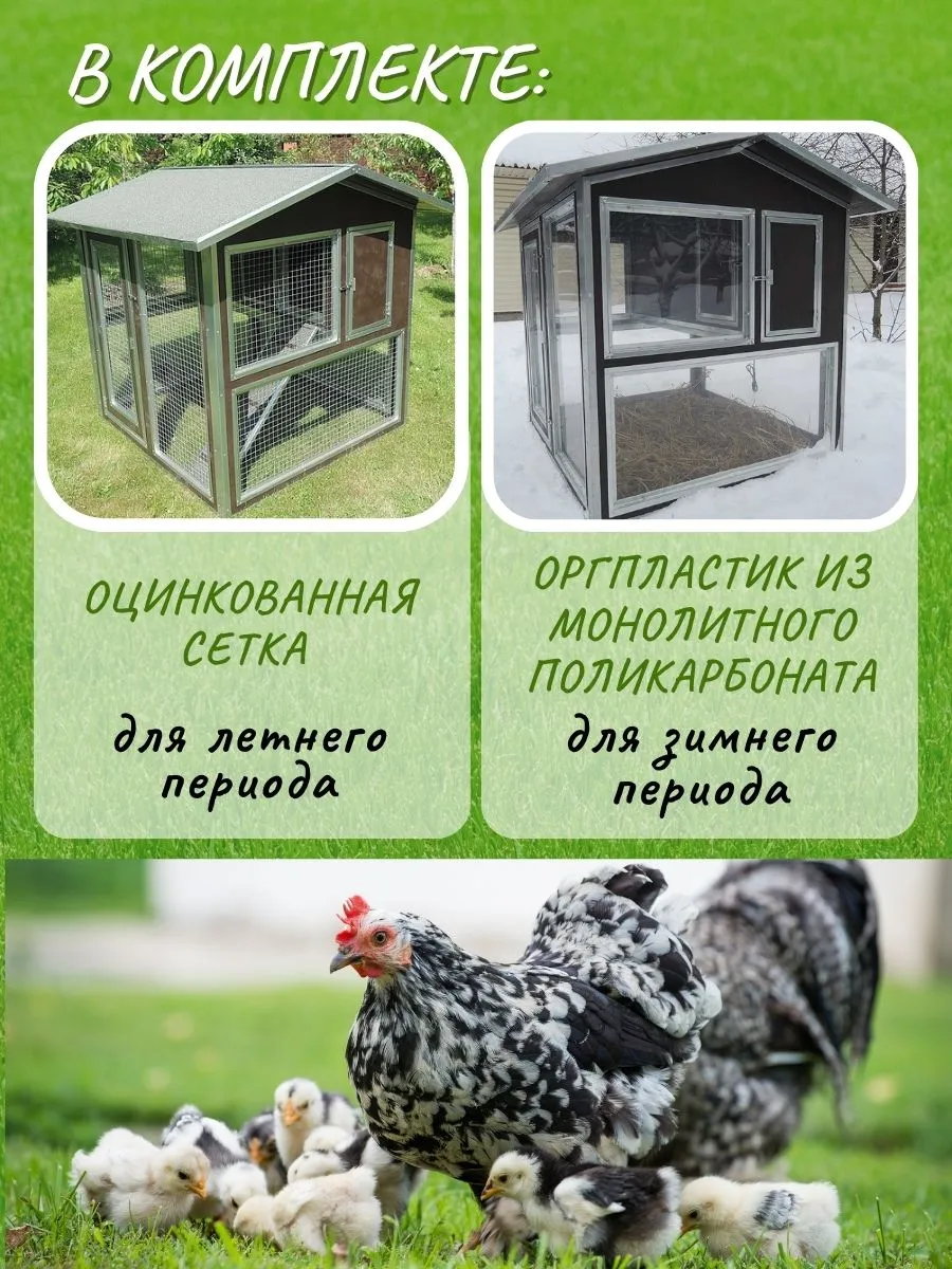 Утепленный отапливаемый уличный курятник с выгулом "Зимняя мечта" на 8-10 кур. Фото 5