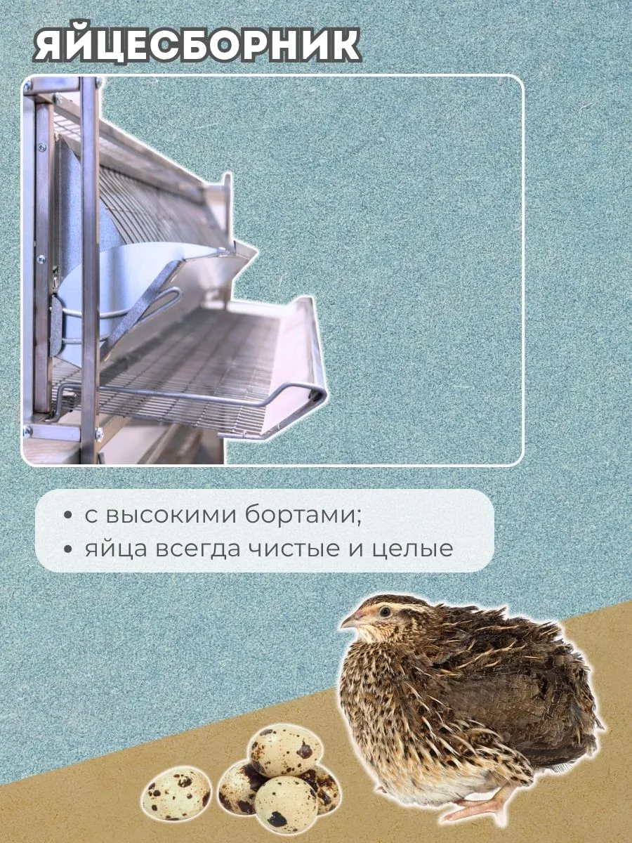 Клетка для перепелов "База-сетка" на 275 голов "МультиПро". Фото 5