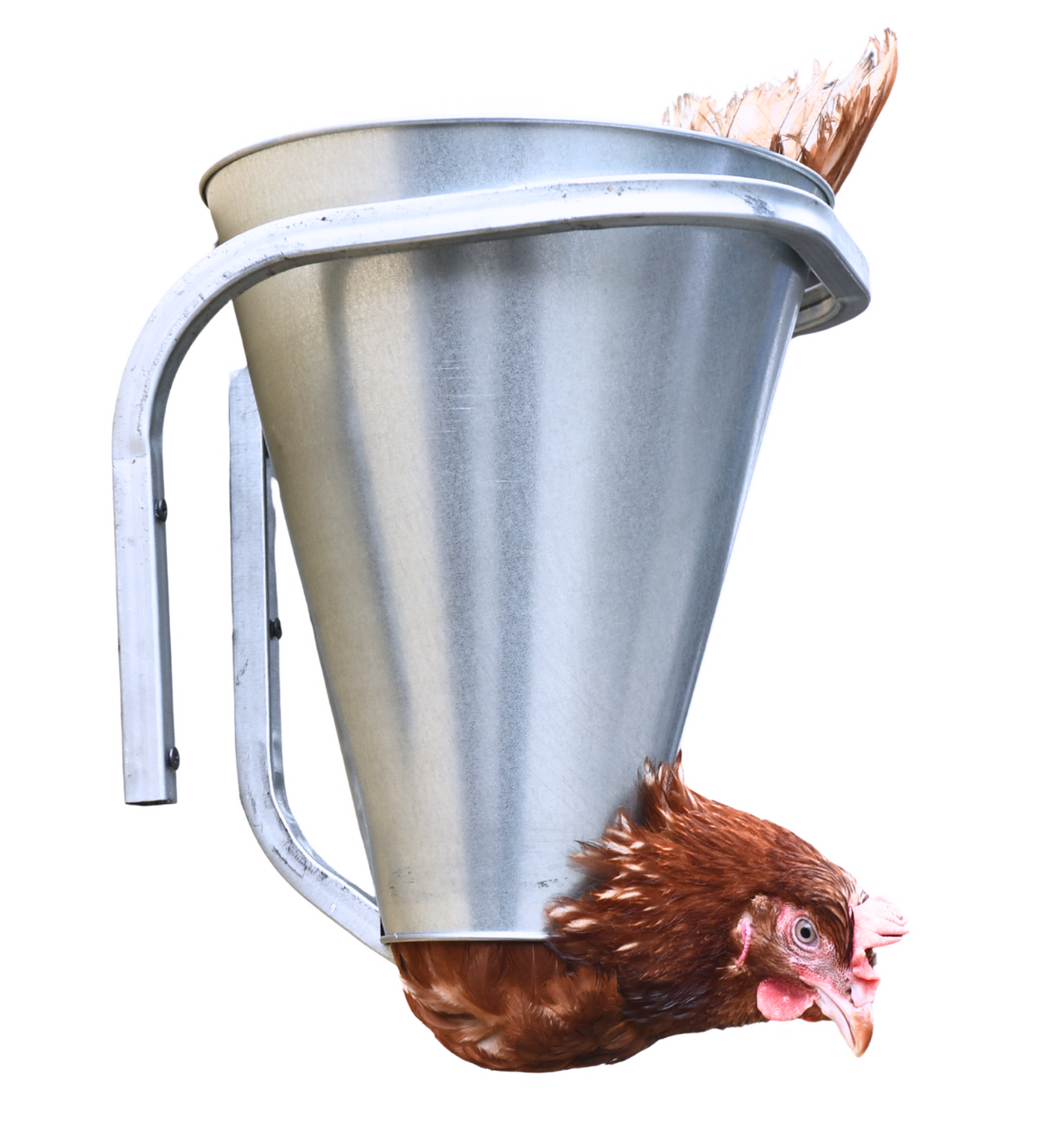 Конус для убоя "XL" с кронштейном крепления - (D-145/390; Н-410). Фото 5 Конус для убоя "XL" с кронштейном крепления - (D-145/390; Н-410). Фото 5