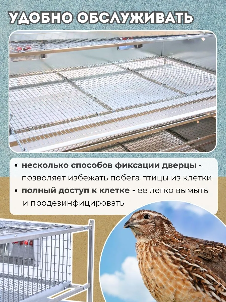 Клетка для перепелов  "База-сетка" на 110 голов "МультиПро". Фото 5