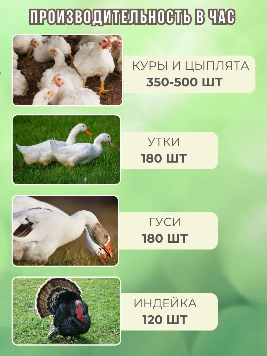 Шпарчан "Автоградус-8000 Бульбар". Фото 7 Шпарчан "Автоградус-8000 Бульбар". Фото 7