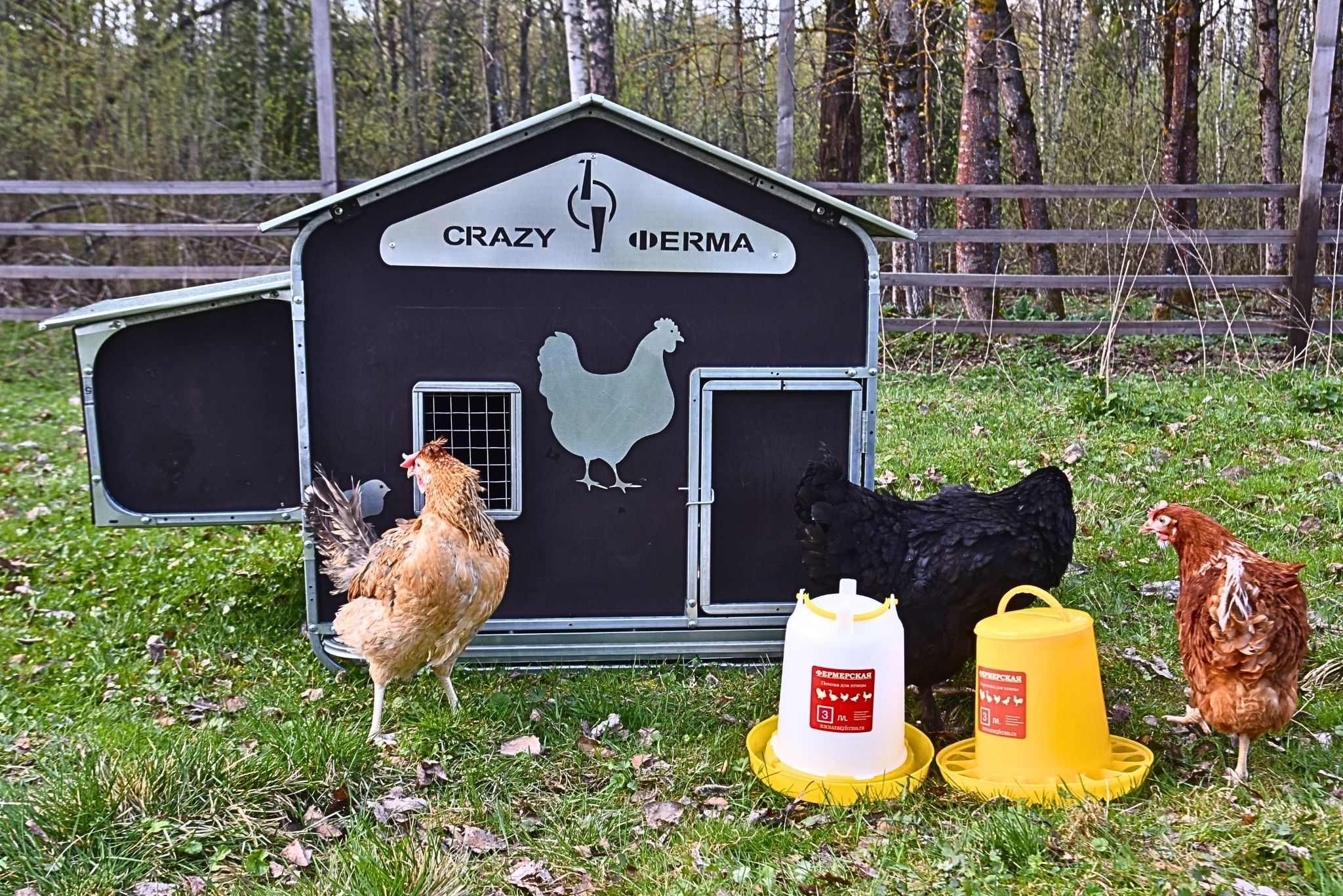 Курятник "Фаворит" на 8-10 кур. Фото 12