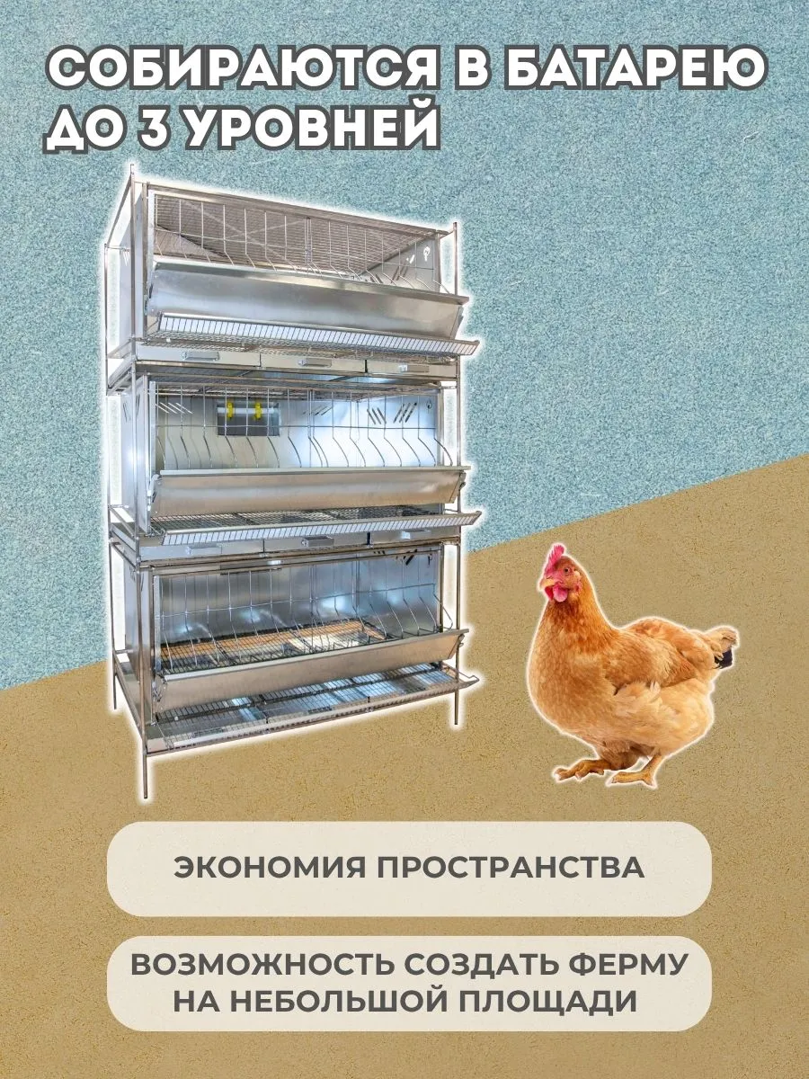Клетка для кур-несушек "База-металл" 3-12 "МультиПро". Фото 6