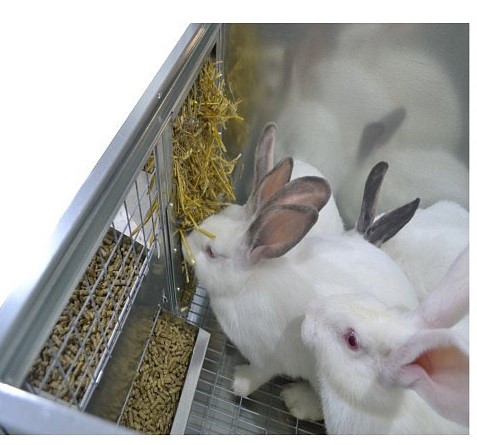Клетка для кроликов откормочная (КРО-8)