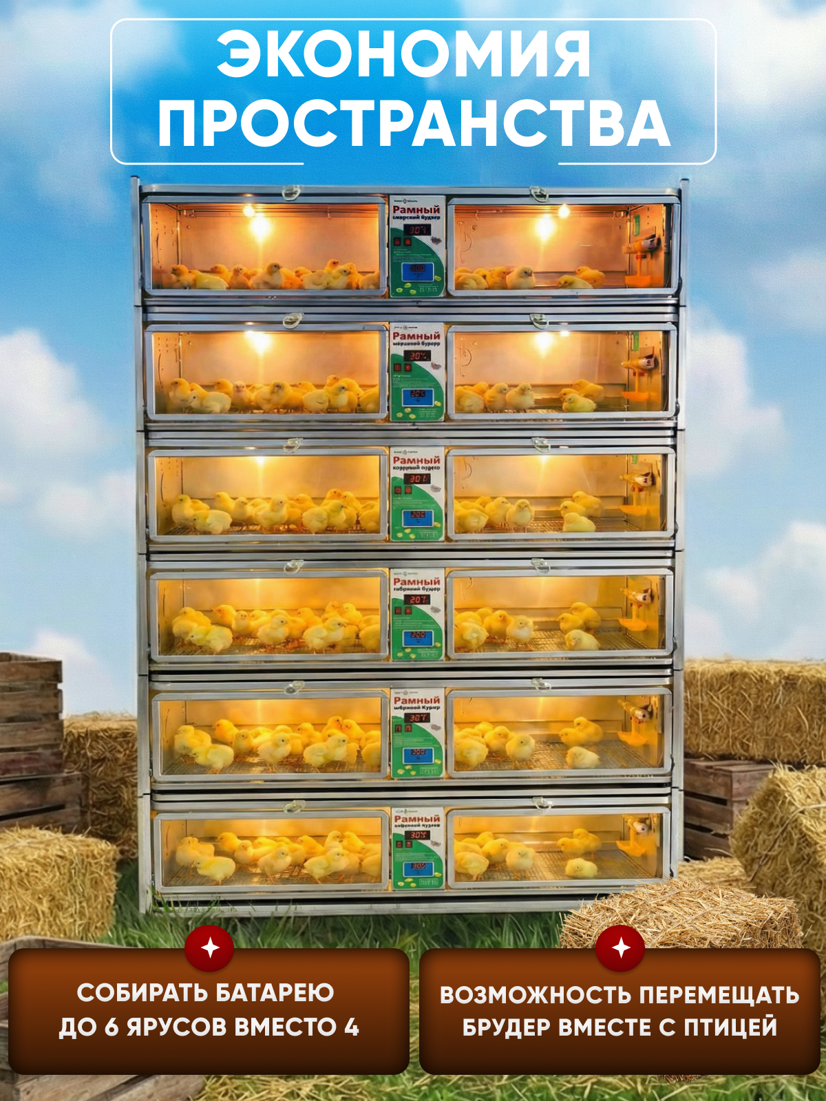 Рамный цифровой брудер 0715 Стандарт. Фото 10