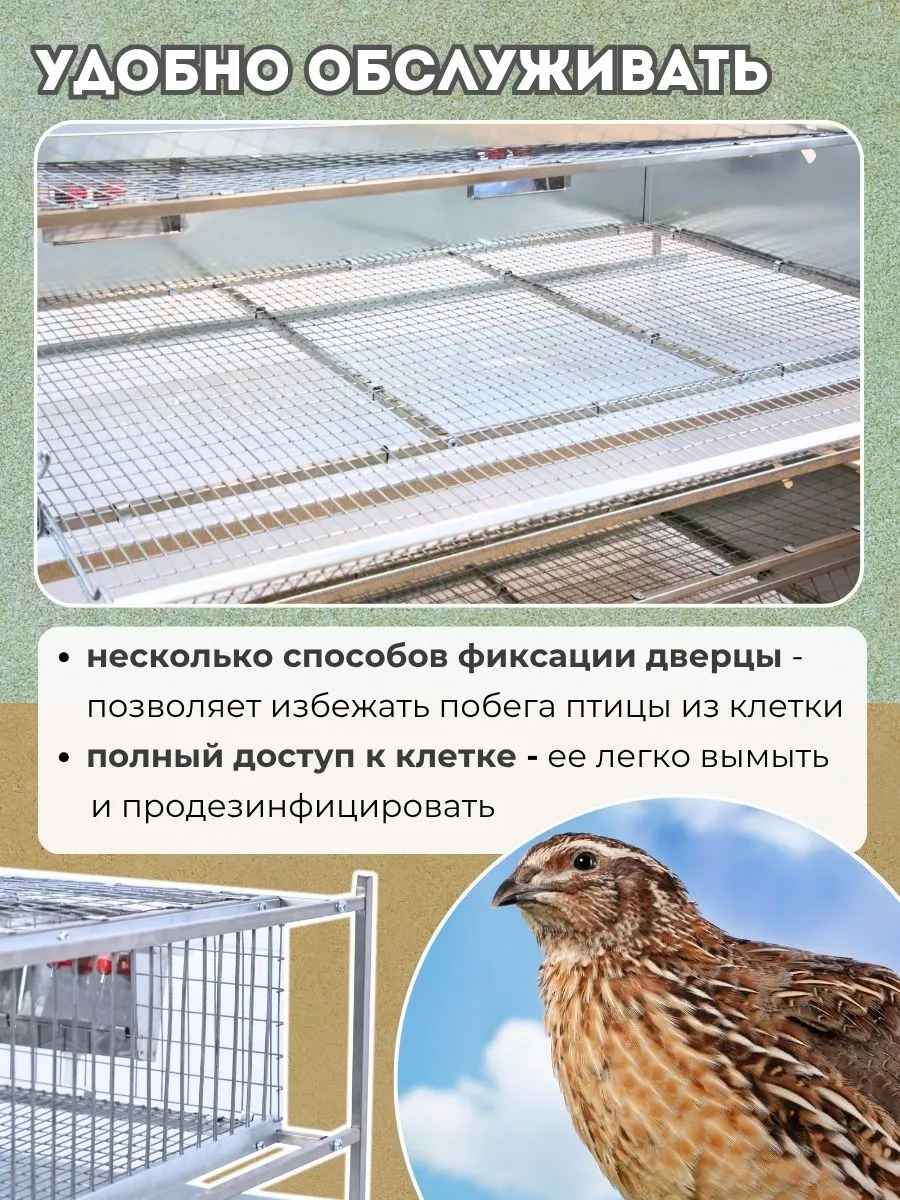 Клетка для перепелов "Практик-сетка" на 55 голов "МультиПро". Фото 6