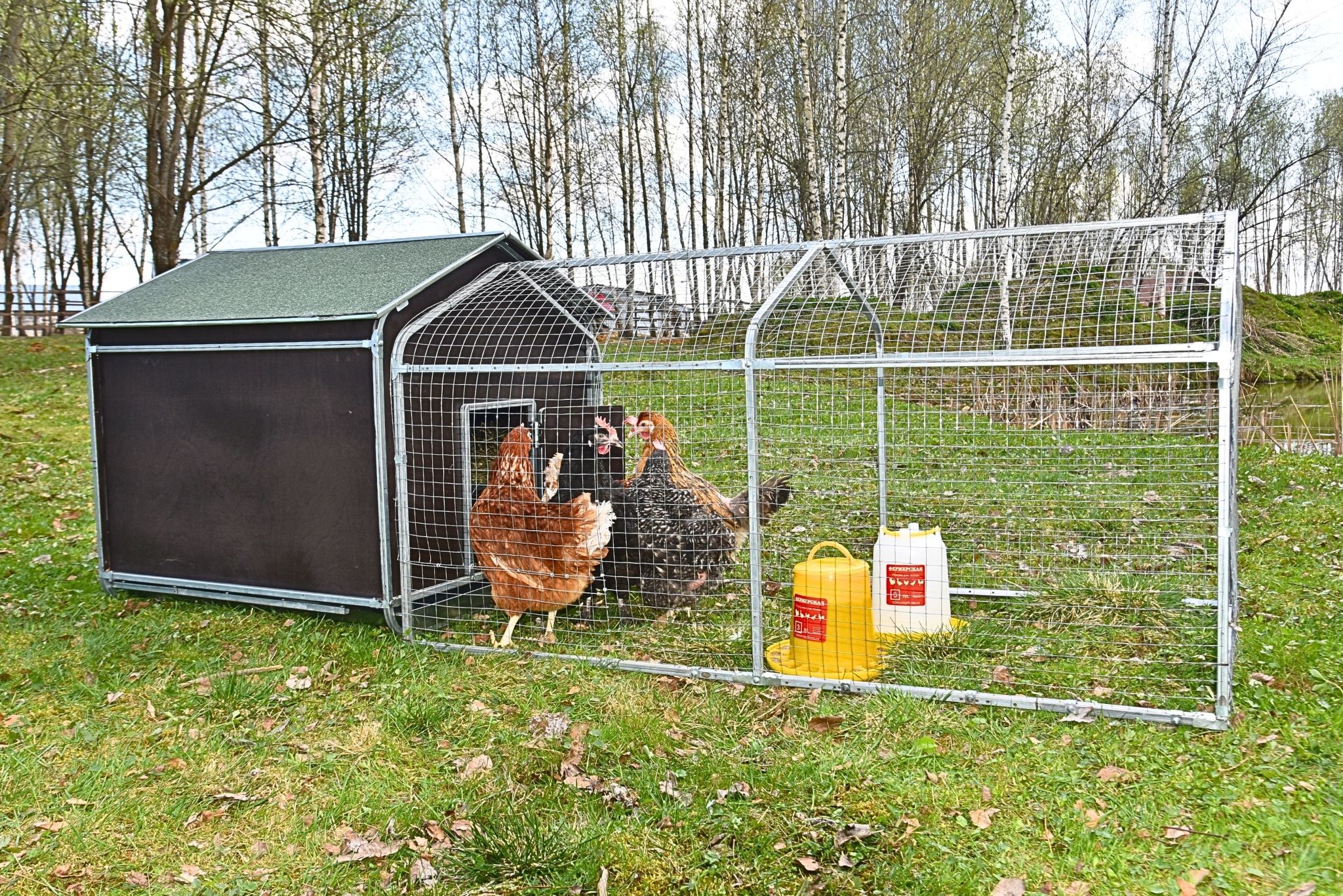 Выгул для курятника "Фаворит" на 8-10 кур. Фото 16