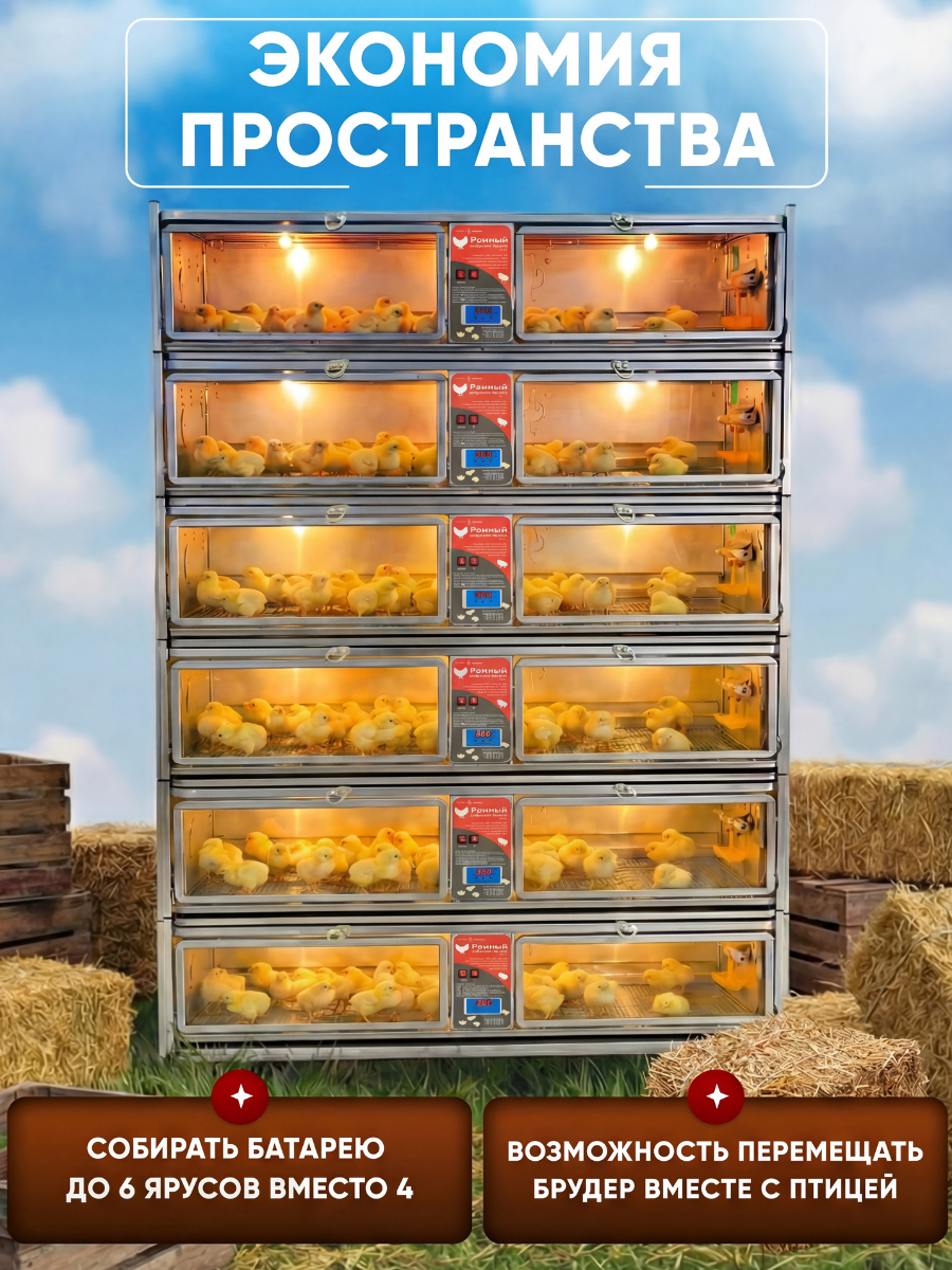 Рамный цифровой брудер 0717 Премиум. Фото 11