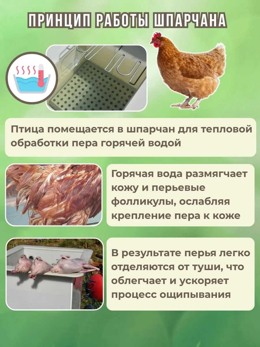 Шпарчан "Автоградус-8000 Бульбар". Фото 5 Шпарчан "Автоградус-8000 Бульбар". Фото 5