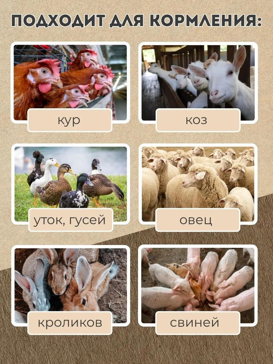 Бункер кормовой автоматический "Дозатор 45". Фото 5