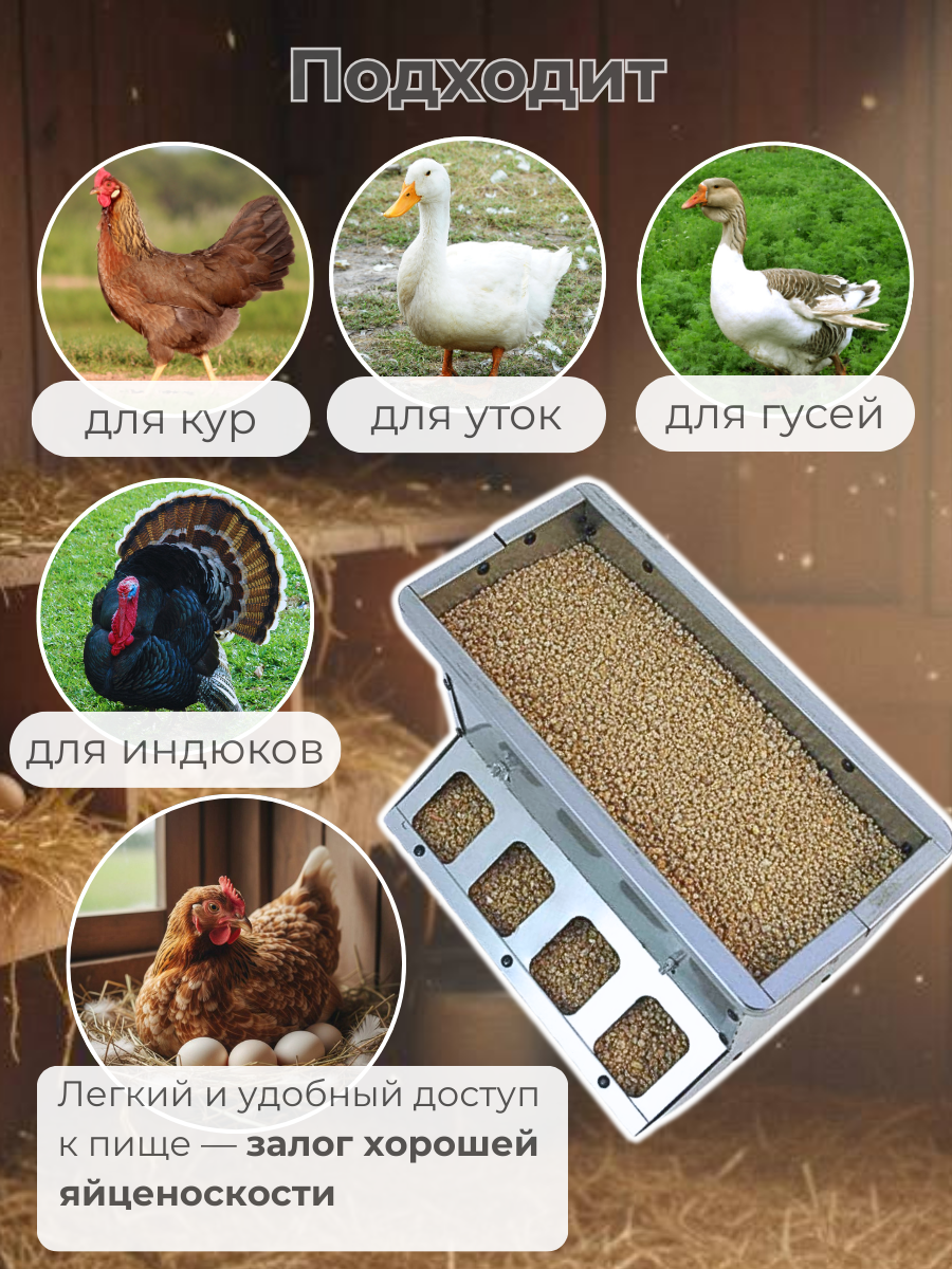 Кормушка бункерная односторонняя "Нетпотерь 10-1" фронт кормления на 4 головы. Фото 4