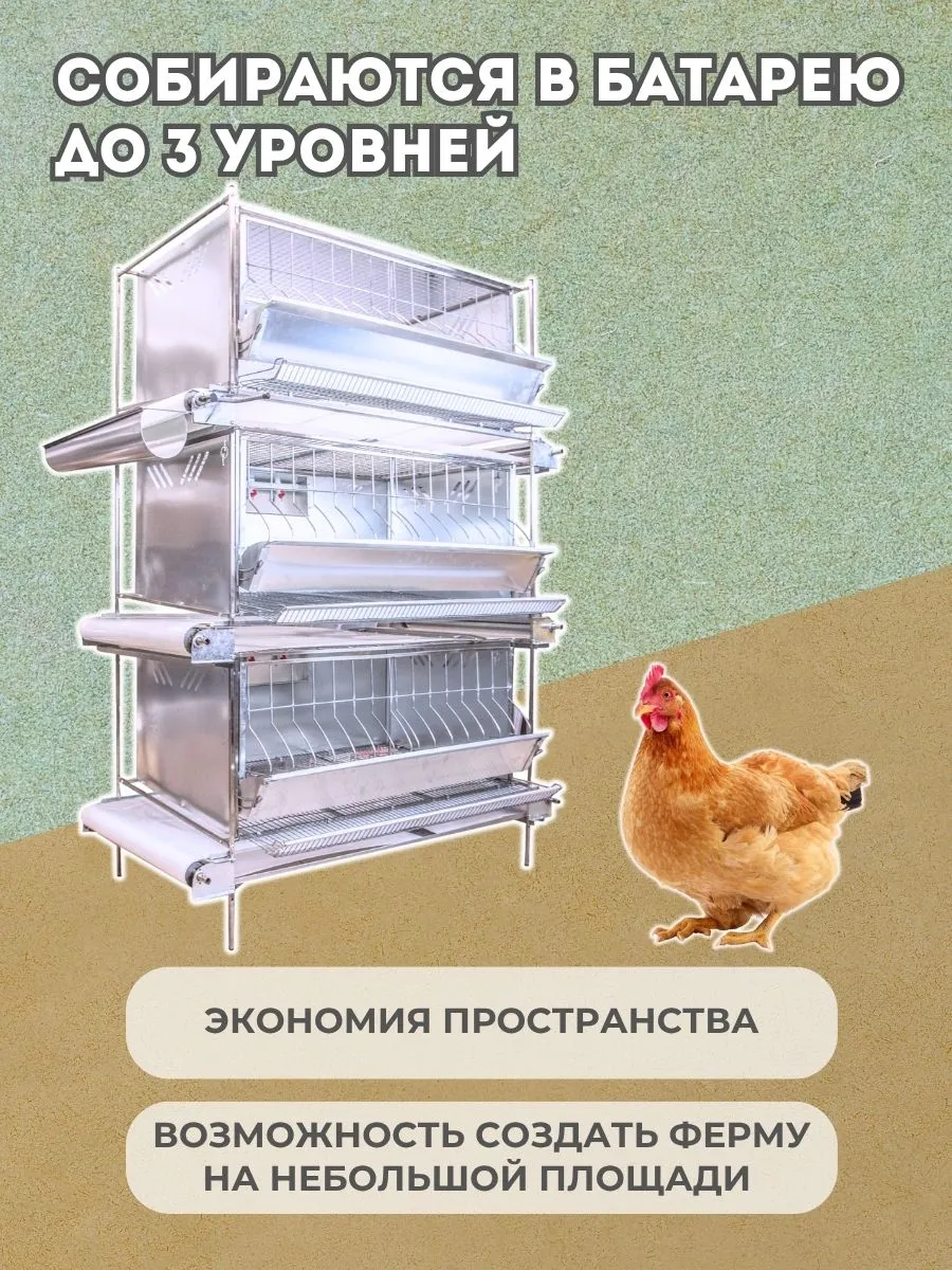 Клетка для кур-несушек "Люкс-сетка" 2-12 "МультиПро". Фото 6 Клетка для кур-несушек "Люкс-сетка" 2-12 "МультиПро". Фото 6