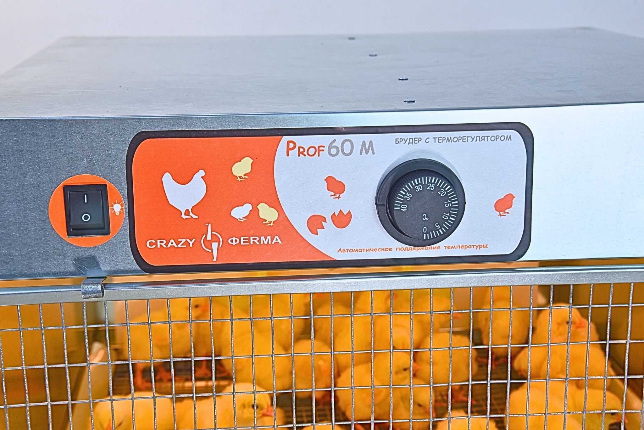 Брудер для цыплят "Проф 60 ЗM" с механическим терморегулятором корпус оцинковка. Фото 12