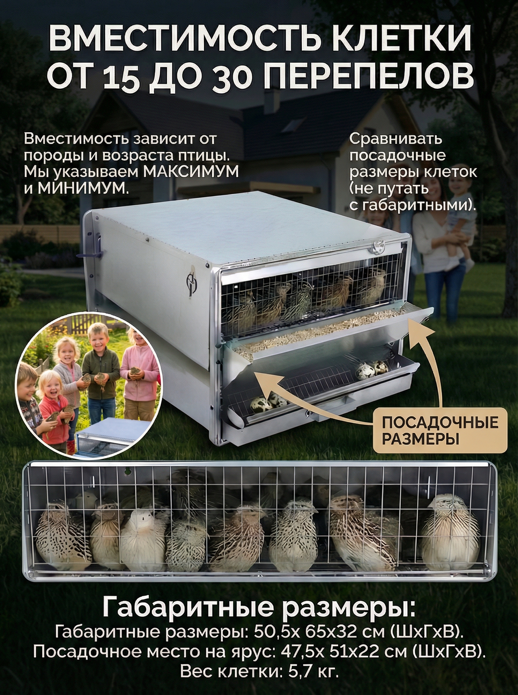 Рамная клетка для перепелов на 90 голов . Фото 7