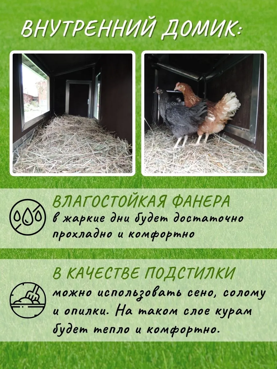 Утепленный отапливаемый уличный курятник с выгулом "Зимняя мечта" на 8-10 кур. Фото 7