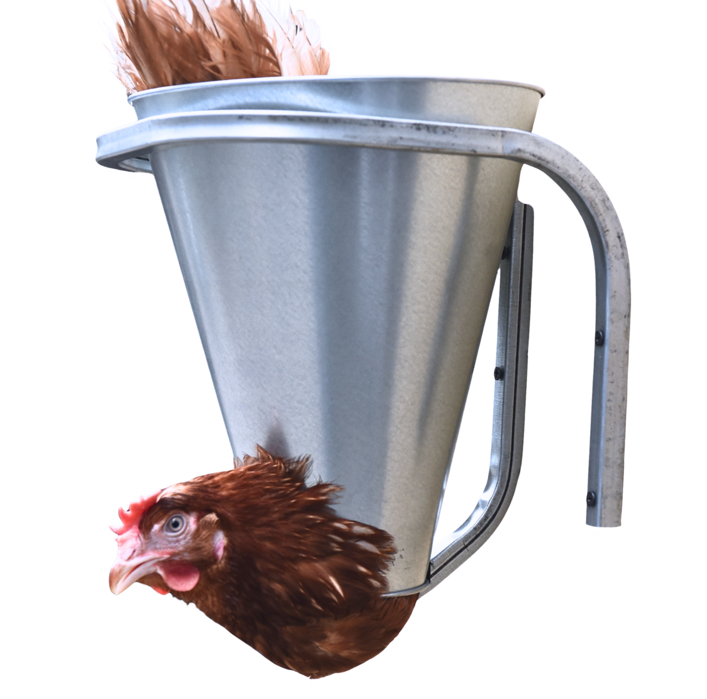 Конус для убоя "М" усиленный с кронштейном крепления (D-85/230; Н-280). Фото 2 Конус для убоя "М" усиленный с кронштейном крепления (D-85/230; Н-280). Фото 2