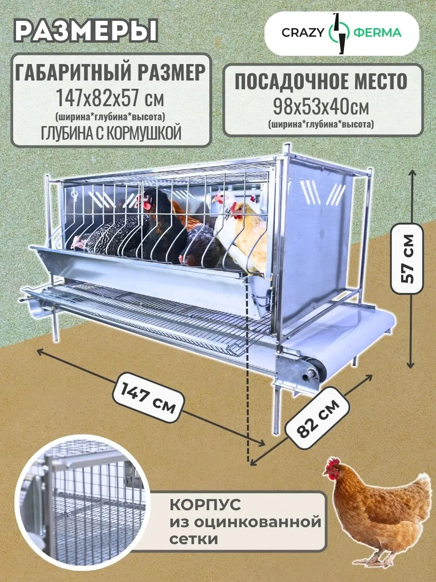 Клетка для кур-несушек "Люкс-сетка" 2-12 "МультиПро". Фото 1 Клетка для кур-несушек "Люкс-сетка" 2-12 "МультиПро". Фото 1