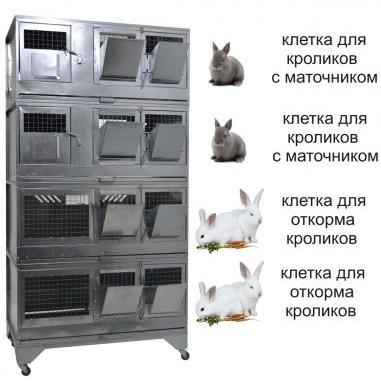 Домашнее кролиководство: мини ферма для кроликов своими руками