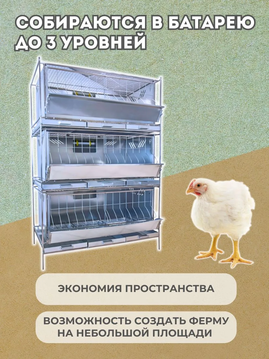 Клетка для бройлеров "Практик-металл" 1-12 "МультиПро". Фото 5