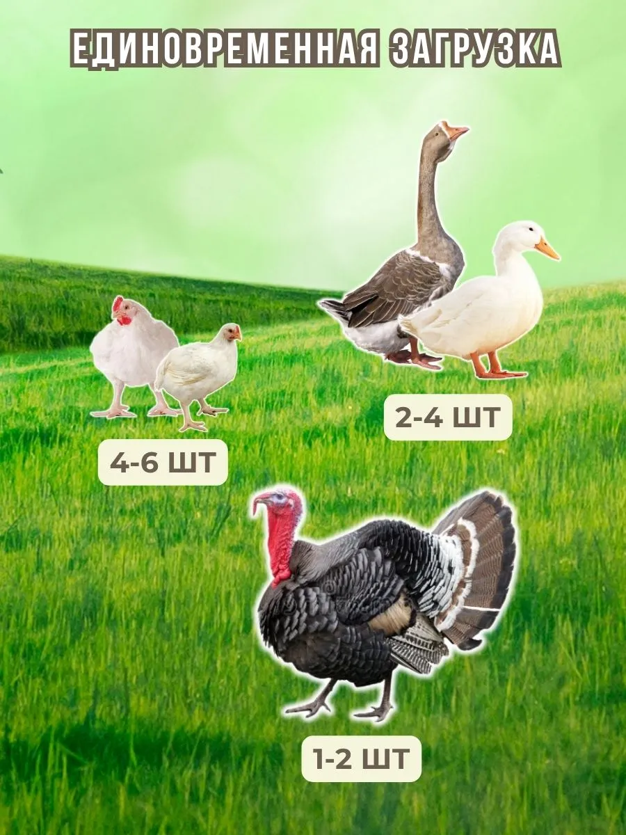 Шпарчан "Автоградус-8000 Бульбар". Фото 8 Шпарчан "Автоградус-8000 Бульбар". Фото 8