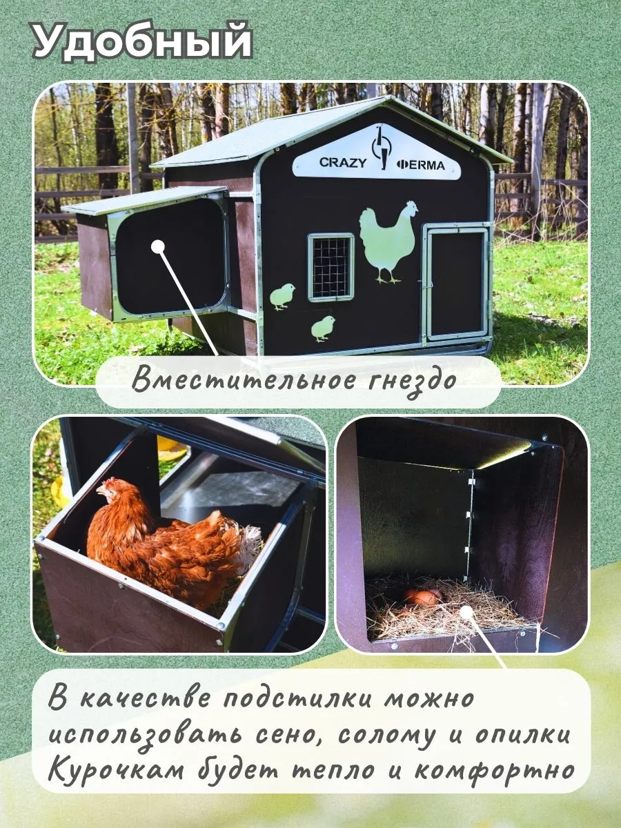 Курятник "Фаворит" на 8-10 кур. Фото 6