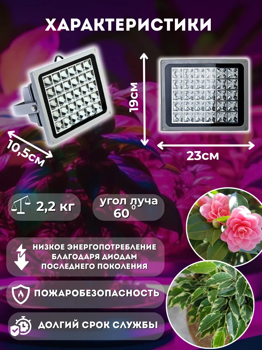 Фитосветильник 60W. Фото 2 Фитосветильник 60W. Фото 2