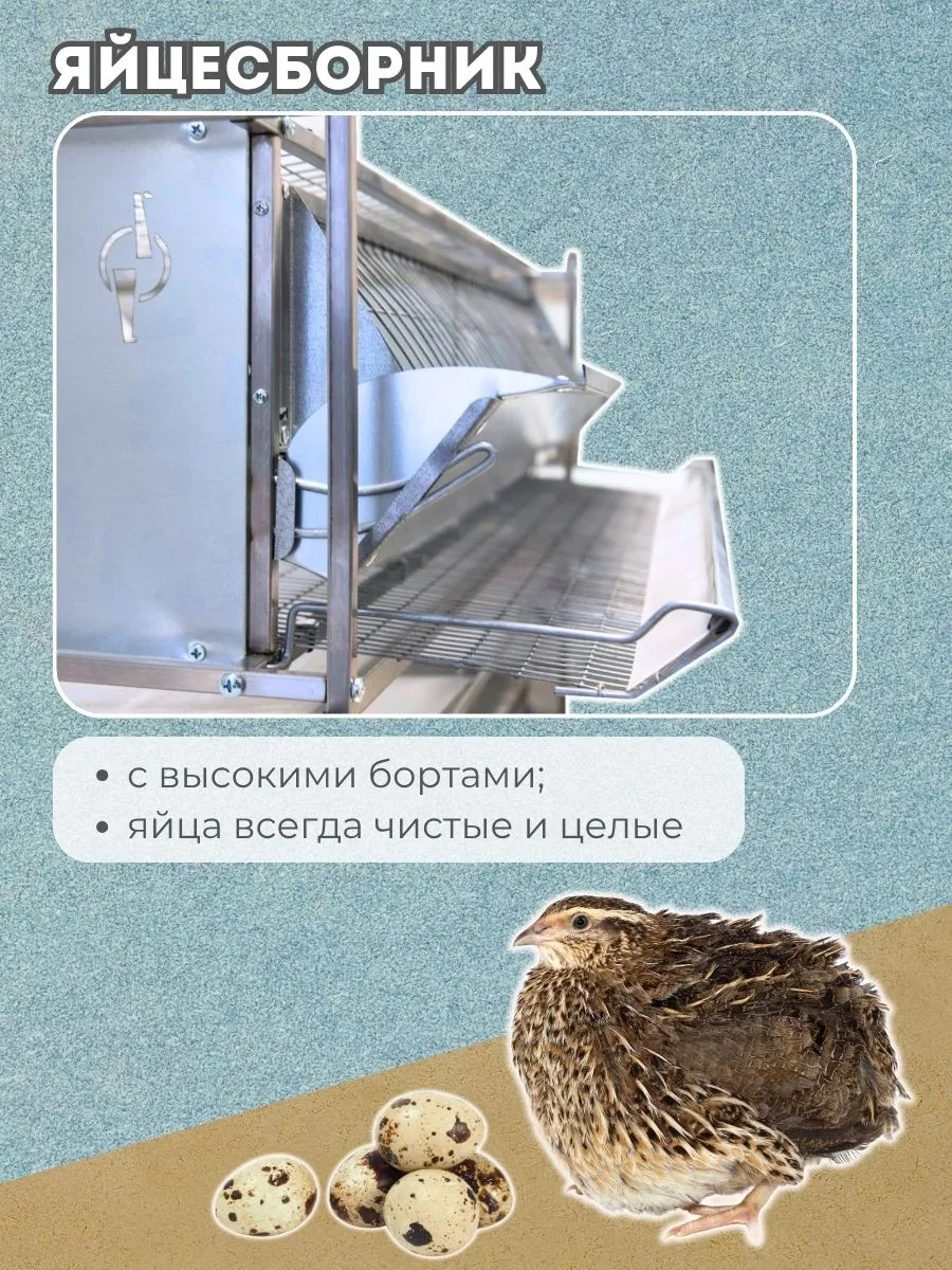 Клетка для перепелов "База-металл" на 55 голов "МультиПро". Фото 4