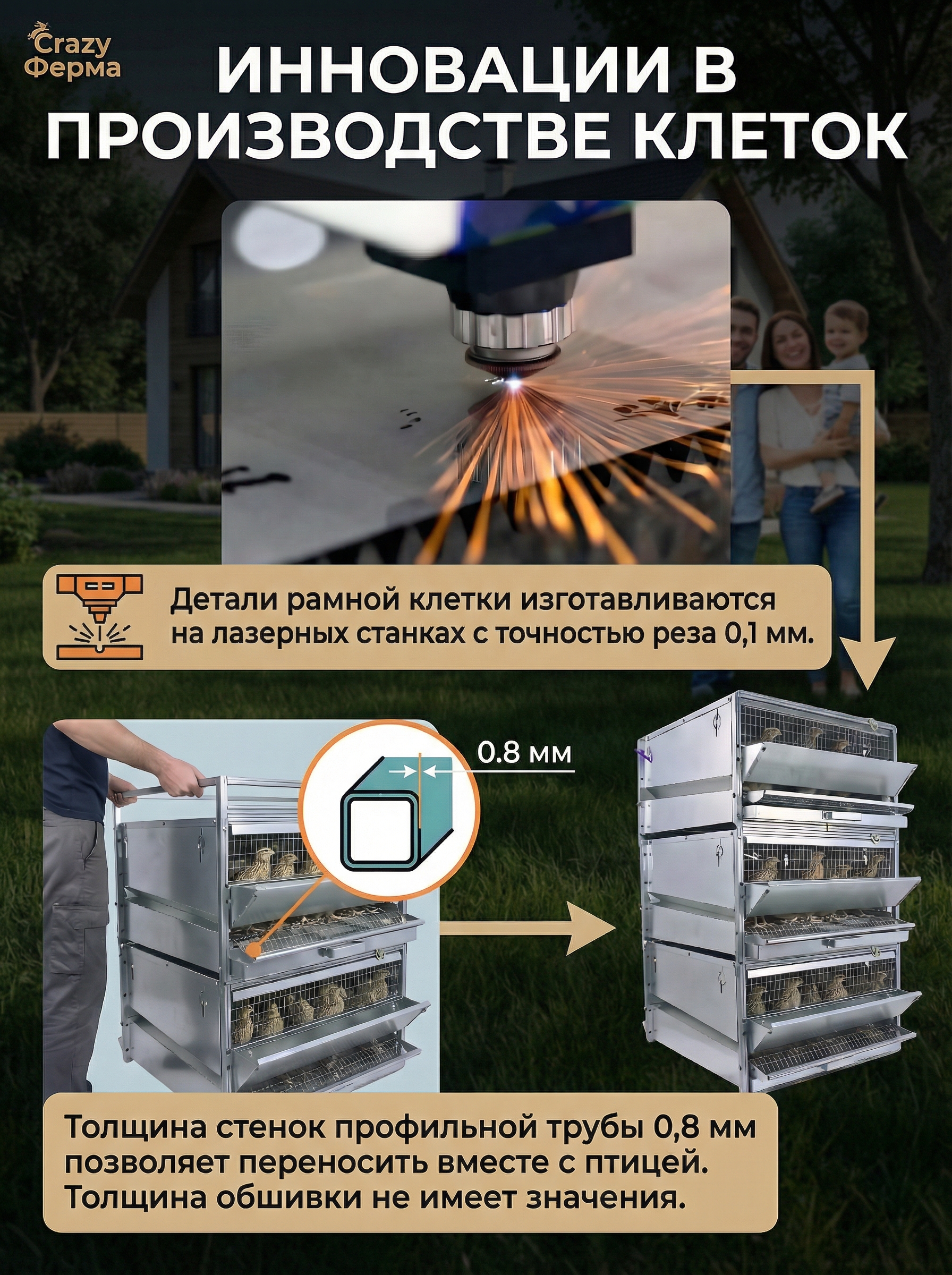 Рамная клетка для перепелов на 30 голов. Фото 5