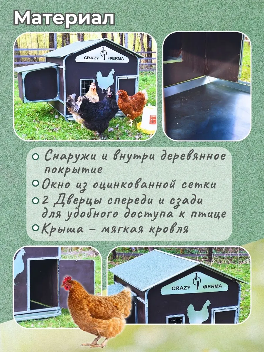 Курятник "Фаворит" на 8-10 кур. Фото 8