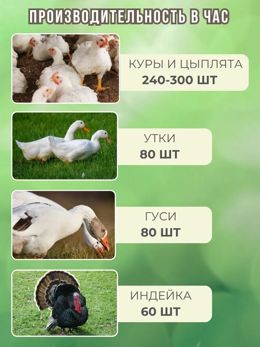 Шпарчан "Автоградус-4000 Индо Бульбар". Фото 6 Шпарчан "Автоградус-4000 Индо Бульбар". Фото 6