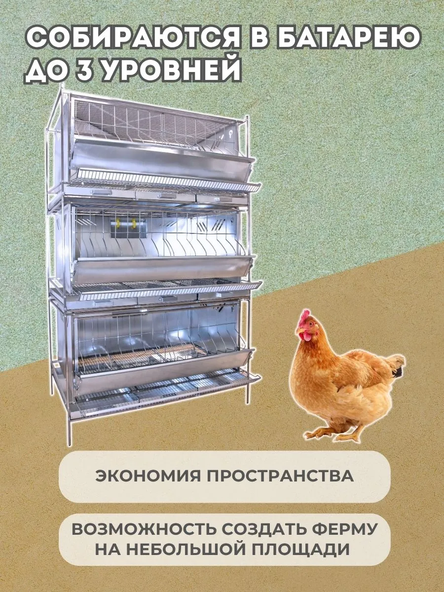Клетка для кур-несушек "Практик-металл" 1-12 "МультиПро". Фото 6