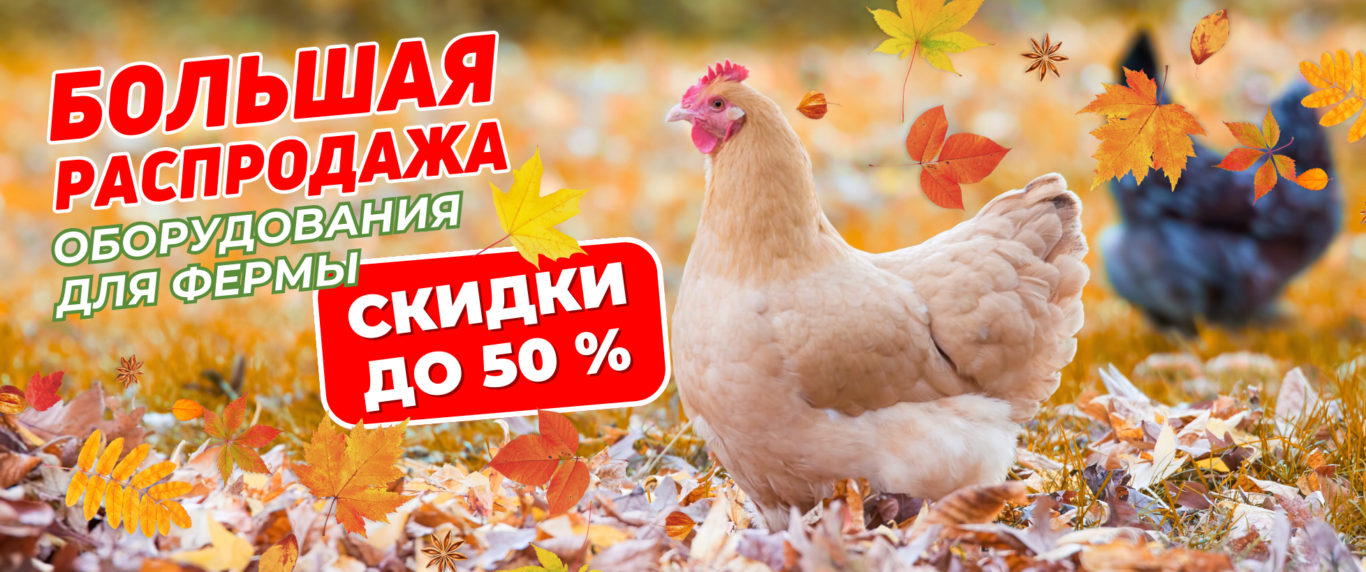 БОЛЬШАЯ РАСПРОДАЖА! Скидки на оборудование до -50%!