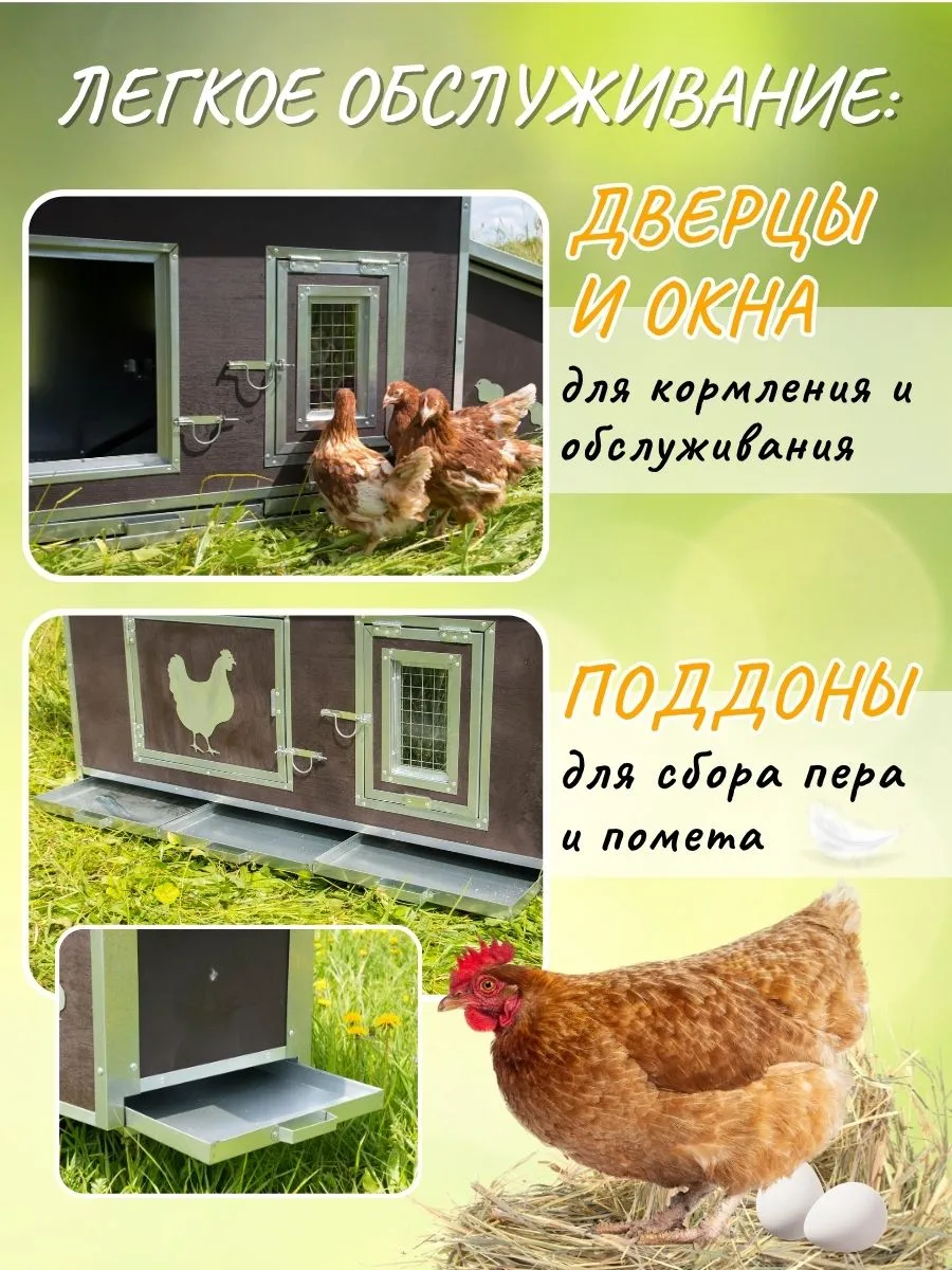 Утепленный отапливаемый уличный курятник "Каскад-1" на 8-12 кур. Фото 4