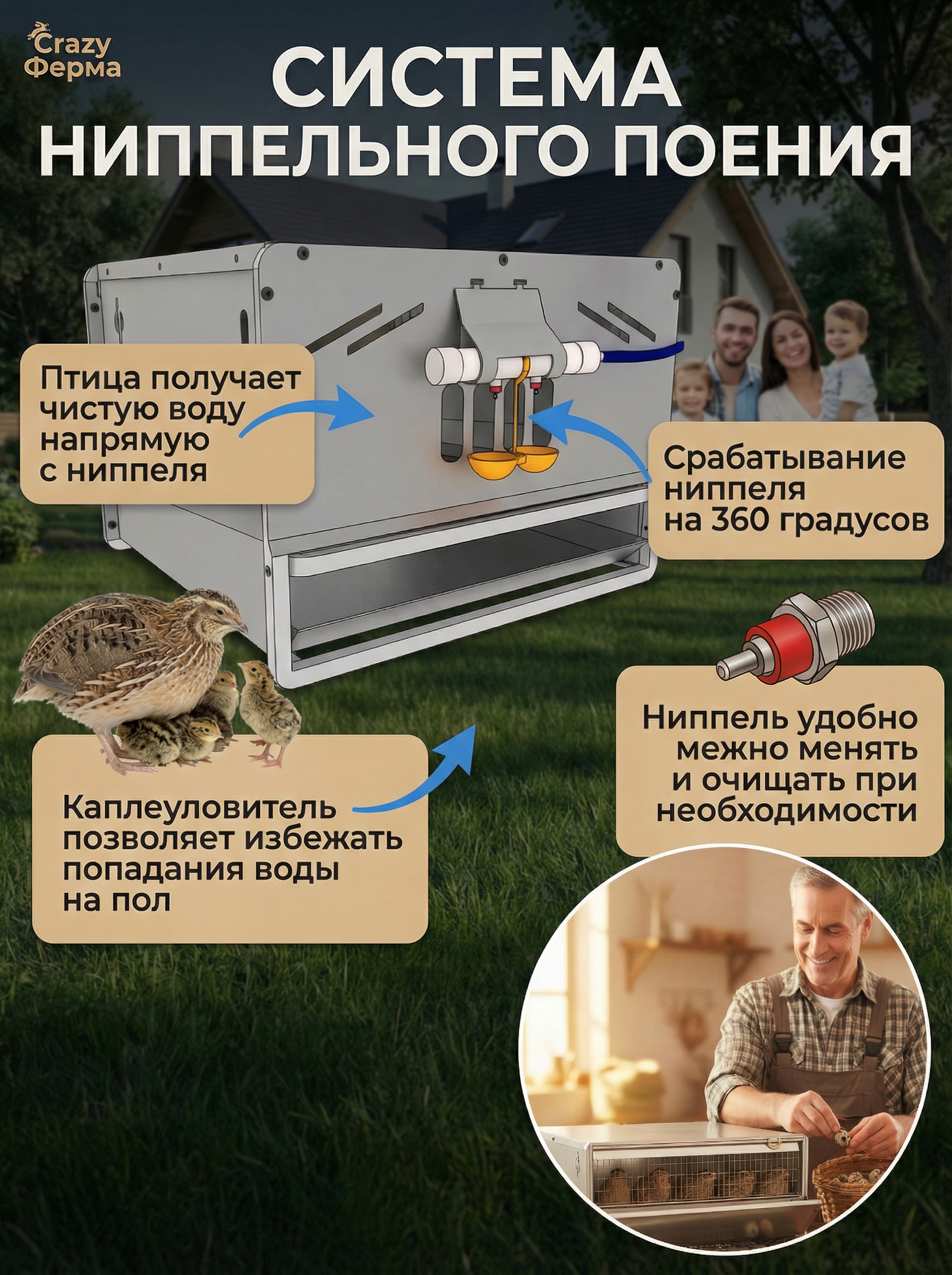 Рамная клетка для перепелов на 90 голов . Фото 3