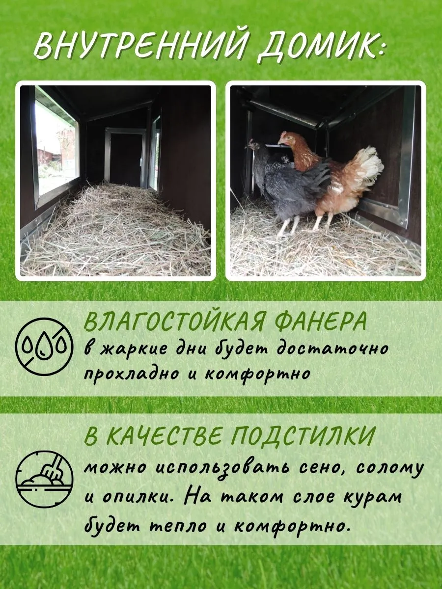 Утепленный отапливаемый уличный курятник с выгулом и гнездом "Мечта" на 8-10 кур. Фото 2