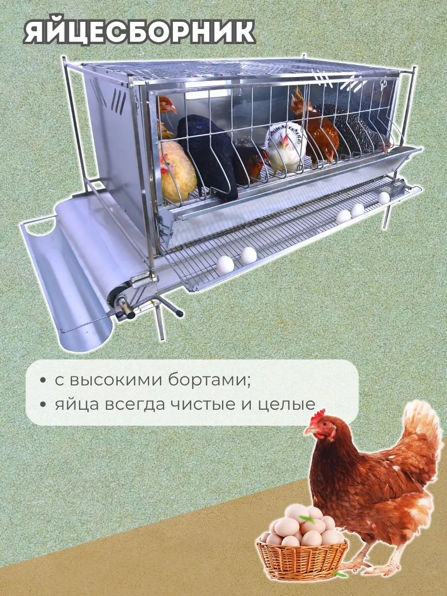 Клетка для кур-несушек "Люкс-металл" 1-12 "МультиПро". Фото 3