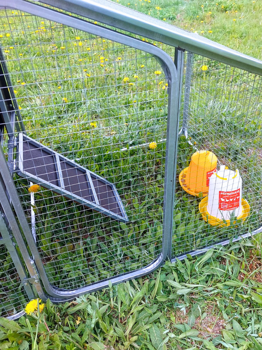 Выгул для курятника "Фазенда". Фото 18