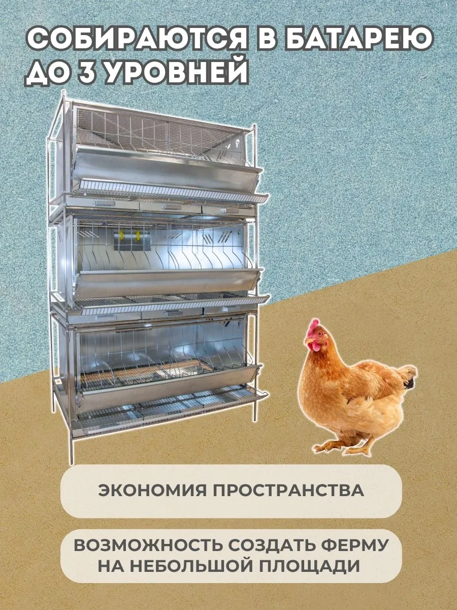 Клетка для кур-несушек  "База-сетка" 1-12 "МультиПро". Фото 6