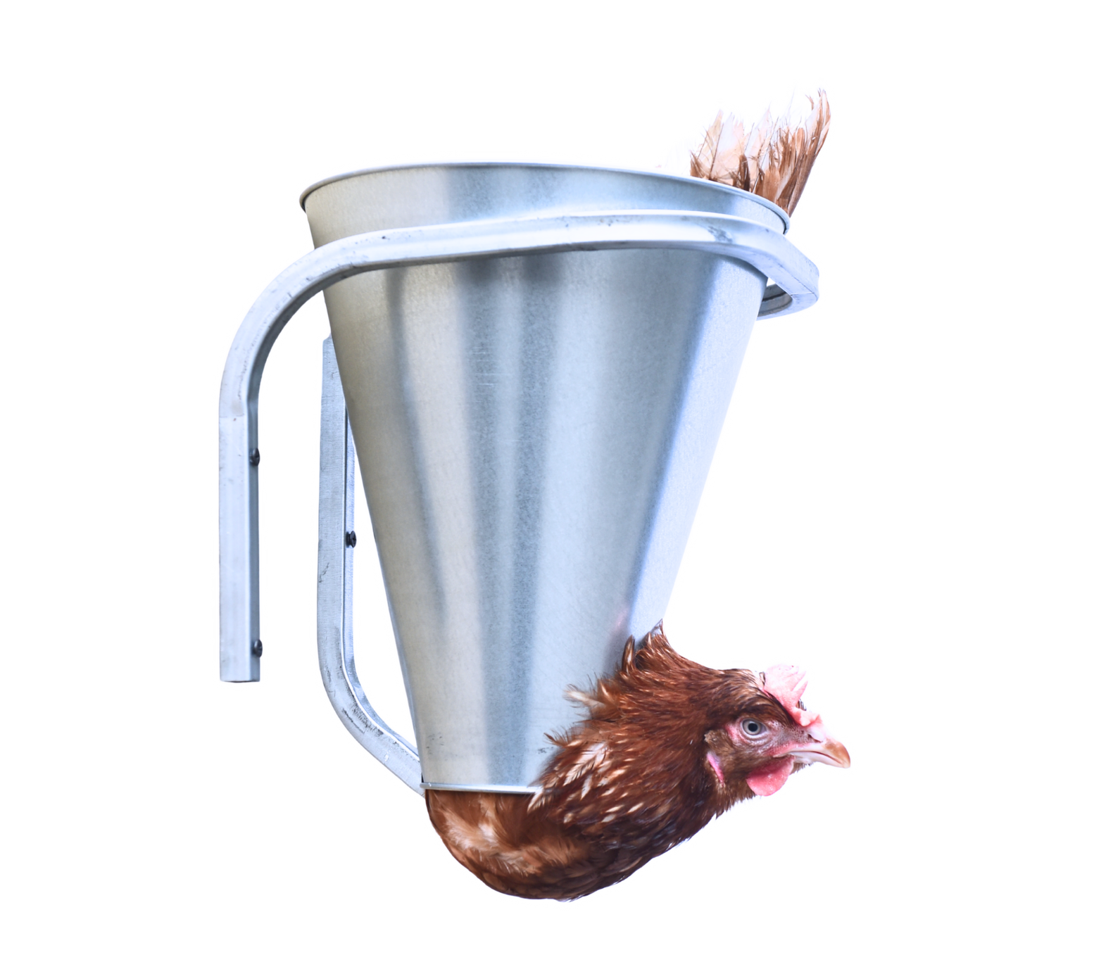 Конус для убоя "S" с кронштейном крепления-(D-75/190; H-220). Фото 1