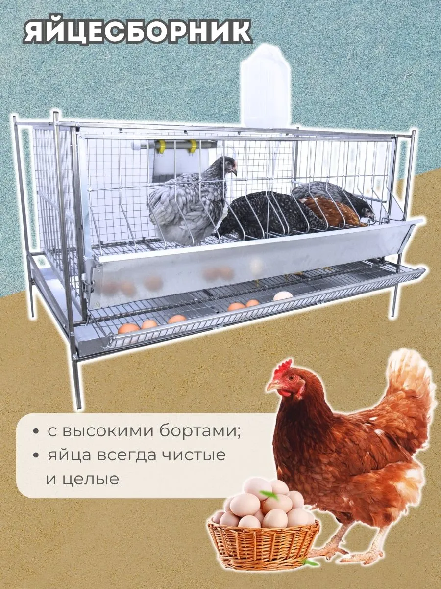 Клетка для кур-несушек  "База-сетка" 1-12 "МультиПро". Фото 5