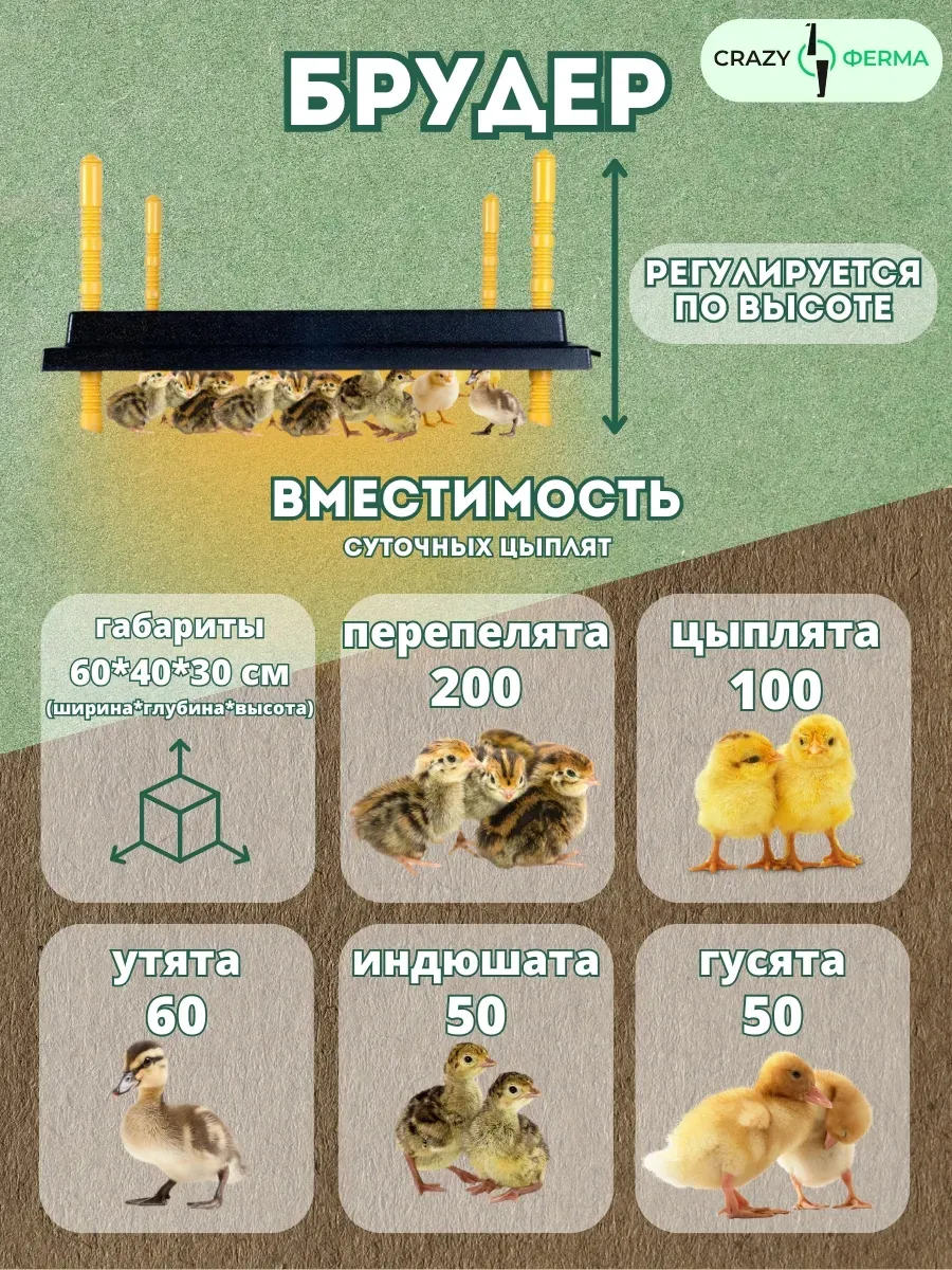 Панель обогревательная с температурным регулятором для цыплят 40х60см. Фото 1 Панель обогревательная с температурным регулятором для цыплят 40х60см. Фото 1