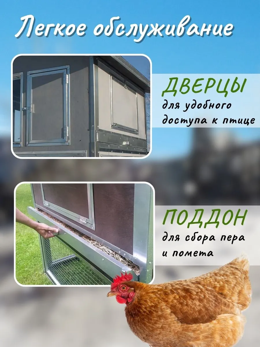 Утепленный отапливаемый уличный курятник с выгулом "Зимняя мечта" на 8-10 кур. Фото 3