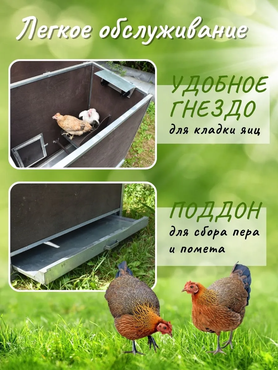 Утеплённый домик с выгулом "Лужайка-1". Фото 3 Утеплённый домик с выгулом "Лужайка-1". Фото 3