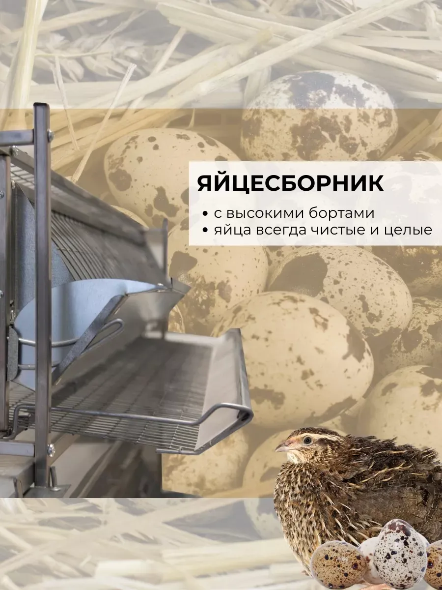 Клетка для перепелов "Люкс-металл" 2-5 на 550 голов "МультиПро". Фото 6 Клетка для перепелов "Люкс-металл" 2-5 на 550 голов "МультиПро". Фото 6