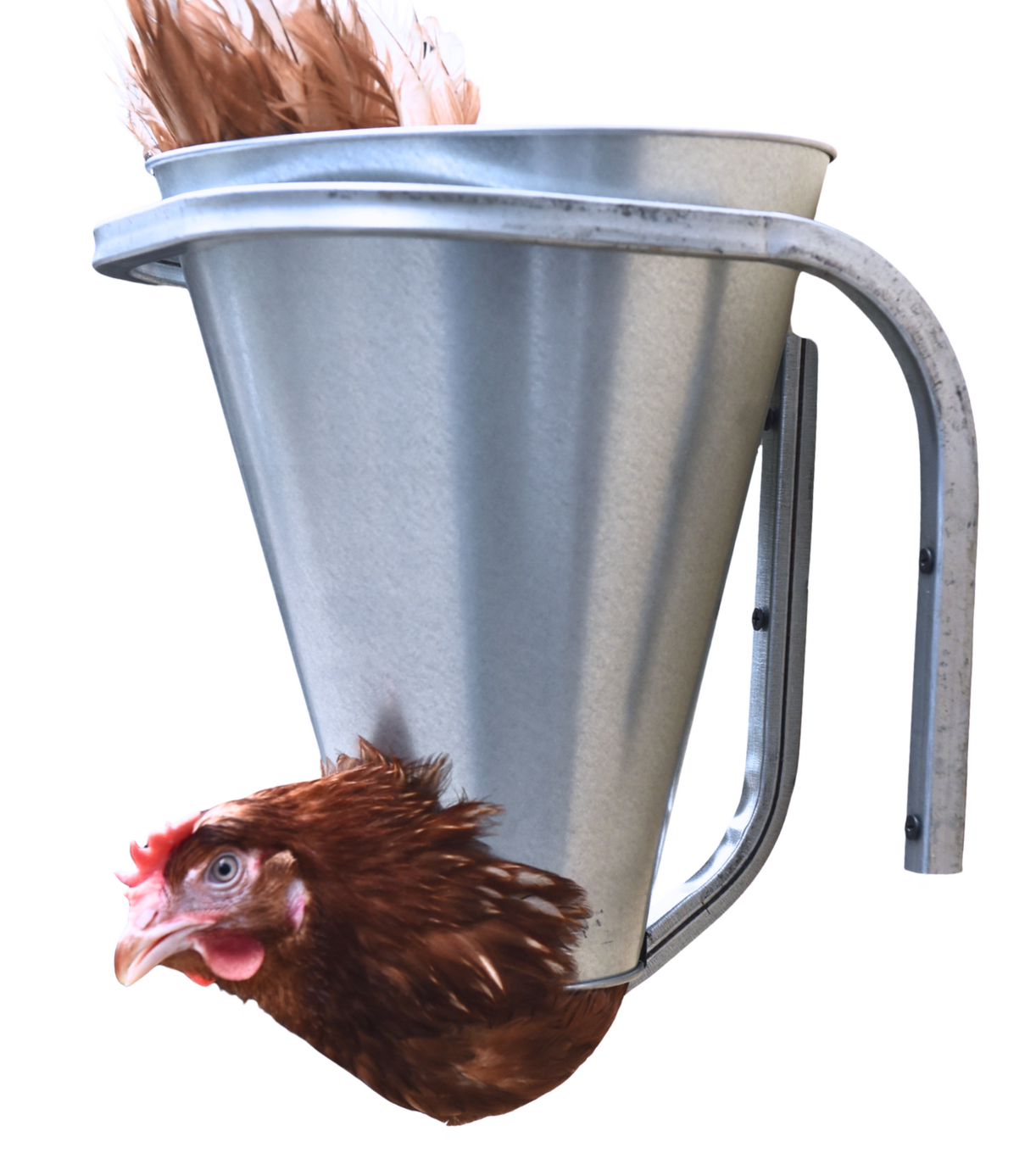 Конус для убоя  "М" с кронштейном крепления - (D-85/230; Н-280). Фото 6