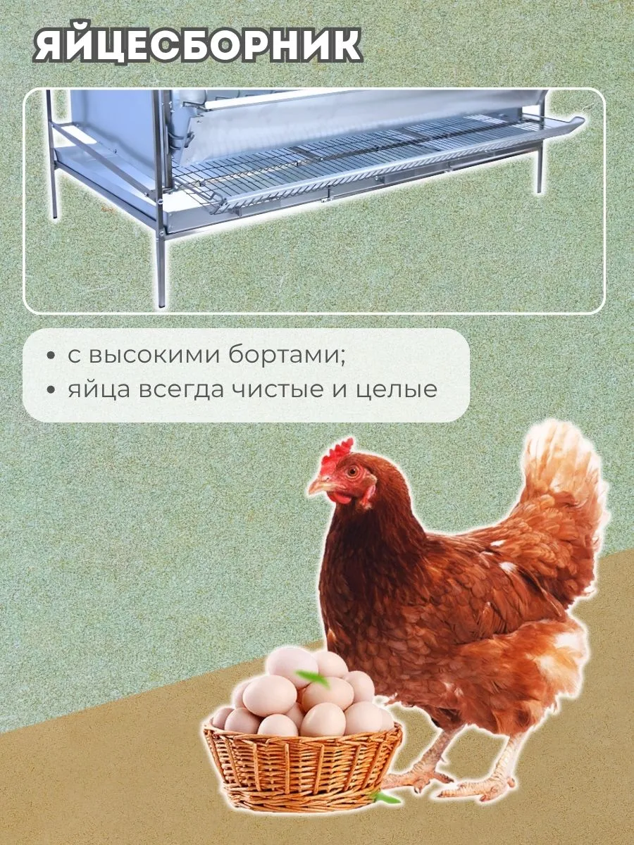 Клетка для кур-несушек "Практик-металл" 1-12 "МультиПро". Фото 4