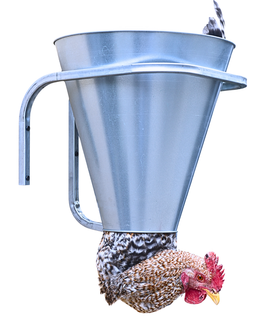 Конус для убоя  "L" с кронштейном крепления - (D-125/310; Н-330). Фото 1