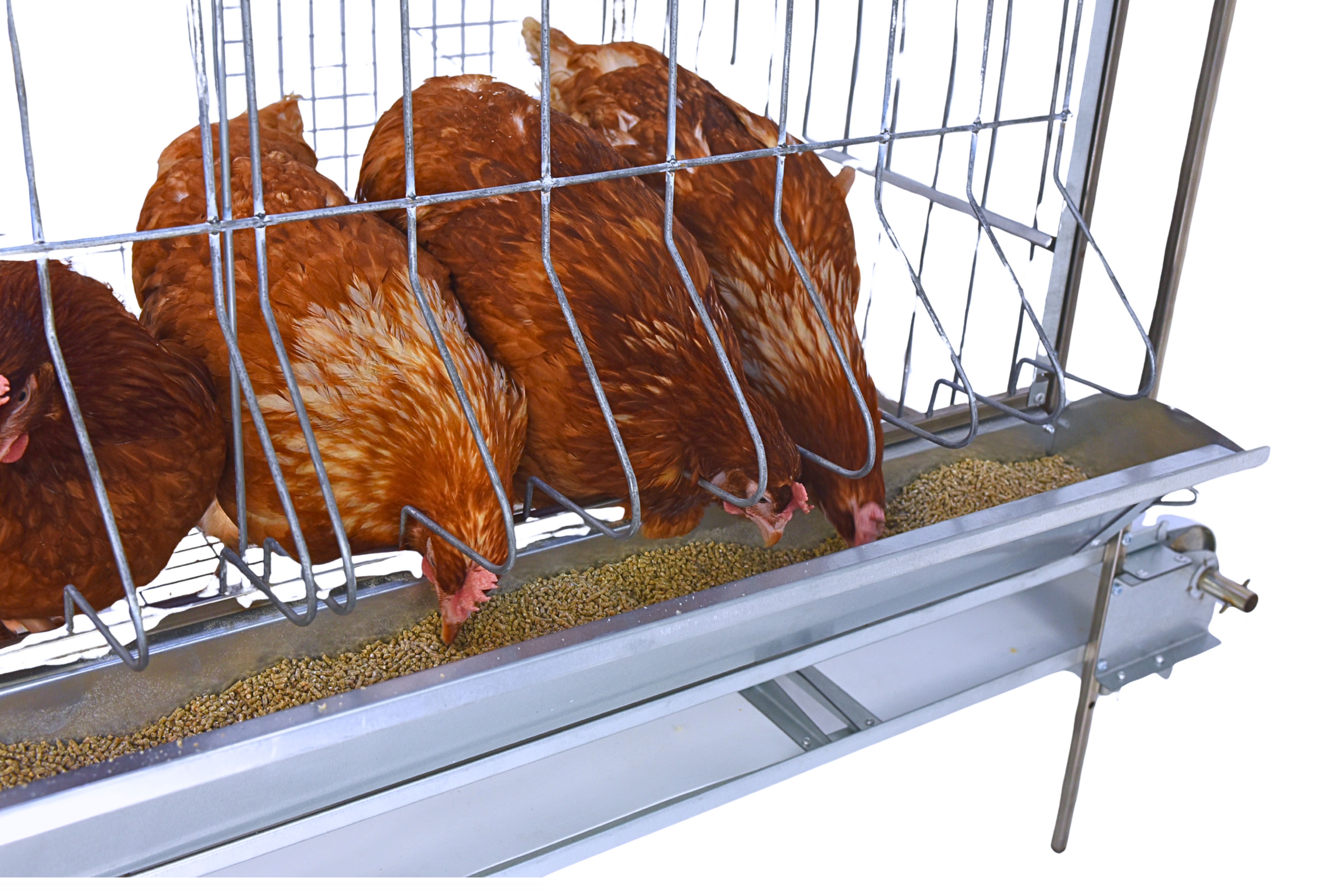 Клетка для бройлеров "Люкс-сетка" 1-12 "МультиПро". Фото 12